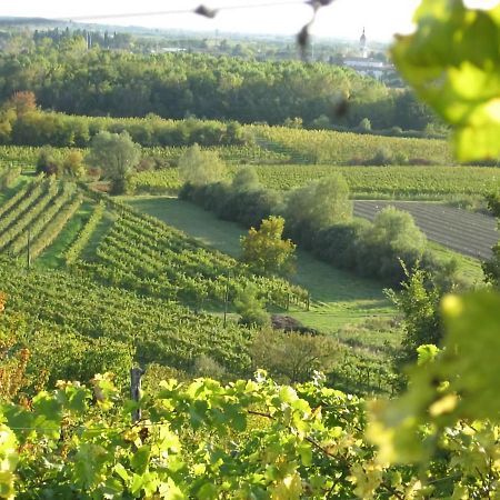 Вилла Capriva Del Friuli - Casa Roncus Экстерьер фото